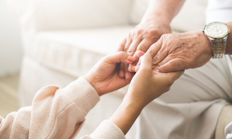 palliative care services Chelmsford, Essex